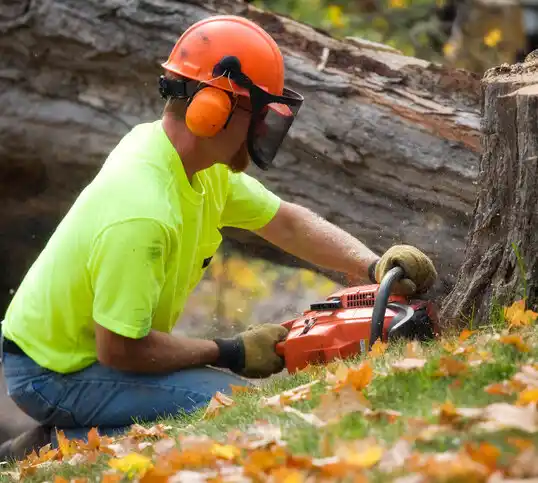 tree services Winnfield